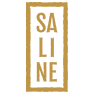 Logo de Saline Vodka